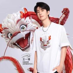 安踏 灵龙TEE 男女短袖T恤