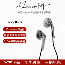 水月雨 牛逼塞Nice Buds 有线耳机高保真发烧音质游戏平头塞安卓