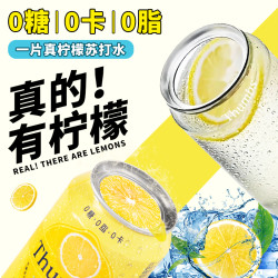 一片真柠檬原味苏打水 330ml*24罐