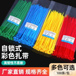 杰特森 尼龙扎带绑扎带100条彩色塑料扎带蔬菜固定园艺扎线整理捆绑带