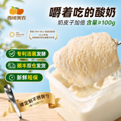 西域美农 欧若姆鲜奶皮plus 奶皮子酸奶 内蒙特产零食 内蒙古奶制品
