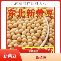 25年新黄豆5斤装黑龙江高蛋白豆腐大豆专用豆浆豆芽非转基因