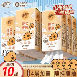 清风 悬挂式抽纸 4层250抽整箱