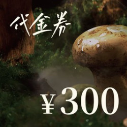 300元代金券|限1张