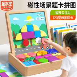 童木星 磁力拼图 益智儿童七巧板 智力思维训练玩具