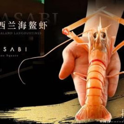 单人精雕细琢·旗舰钜献（2号新西兰鳌虾/小青龙