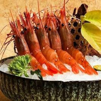 移动端:全天通用环球美食优享单人自助餐|杭州维景店