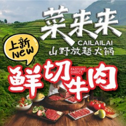 臻选鲜切牛肉毛肚畅吃单人套餐