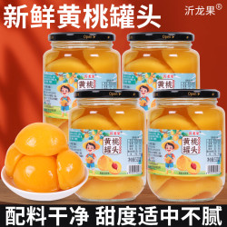 沂龙果 国产多口味黄桃罐头 510g*4瓶