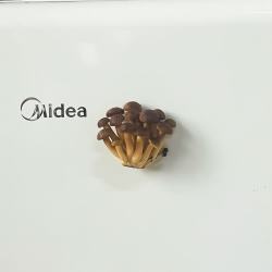 赋闲 云南菌菇冰箱贴磁吸装饰贴香菇家居装饰品立体模型磁贴蘑菇冰箱贴 真姬菇-磁吸冰箱贴