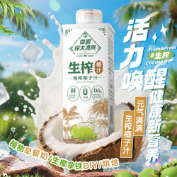 南国 生榨鲜椰汁 600ml*2瓶