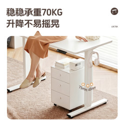 乐歌 E1N 电动升降电脑桌 1m 灰木纹色