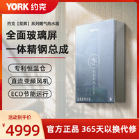 约克 燃气热水器JSQ30-16S