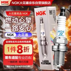 NGK 火花塞双铂金四支装途铠途欢