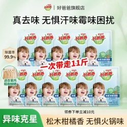 好爸爸 除菌洗衣液洁净去味除螨袋装补充装11斤松木