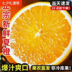 红源鲜 湖北秭归夏橙 3斤/5斤/9斤