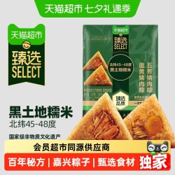 五芳斋 粽子五芳猪肉+蛋黄猪肉真空组合粽200g*2袋端午嘉兴特产