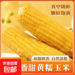 京喜自营-专用品牌 新鲜黄糯玉米真空包装速食玉米软糯香甜代餐140g-180g 10根装