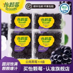 Driscoll's 当季云南树莓黑莓 国产新鲜树莓大果 生鲜水果送礼 云南黑莓125g*4盒（果径15~25mm）