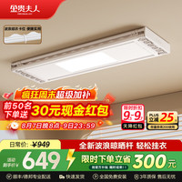 金贵夫人 电动晾衣架阳台自动升降智能晾衣机隐形嵌入式隐藏晾衣杆 白色S10照明