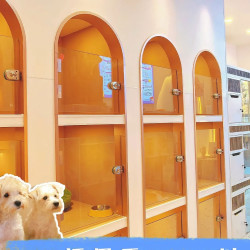 中小型犬酒店式寄养（标准间24小时守护）