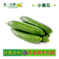 老一生鲜 中国大陆 新鲜小黄瓜 500g