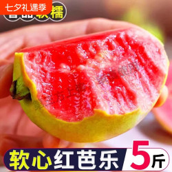 惠事 广西 红心芭乐 大果 2斤