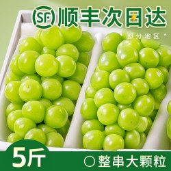 福瑞达 阳光玫瑰葡萄新鲜水果5斤晴王葡萄无籽特级香印提子青提当季整箱