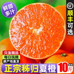 淦橙农源 湖北秭归夏橙 10斤 60mm-65mm