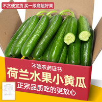 果乡趣 山东 水果黄瓜 2斤