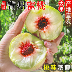 沃翼 正宗青州 蜜桃3斤 现摘现发