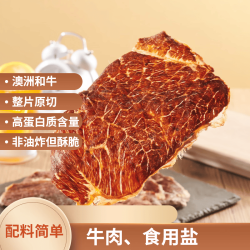 1号会员店 原味牛肉脆片 100g