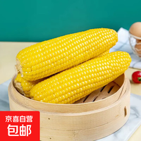 东北甜糯玉米 黄糯白糯黑糯组合 真空包装 加热即食 3根 单根净重150+