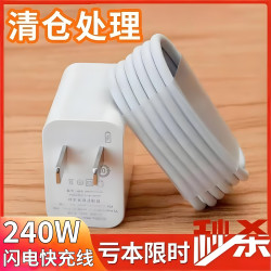 雷珞克 通用闪充充电器头+线240W Type-C 6A快充线