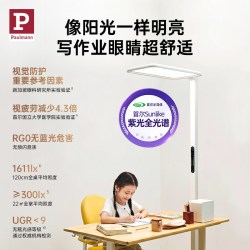 Paulmann 学习专用护眼大路灯 新骑士Air 8m-12m4000K普瑞灯珠