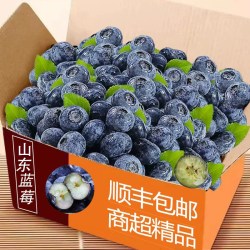 菁口乐 中国大陆 蓝莓 2盒 顺丰中果12mm以上