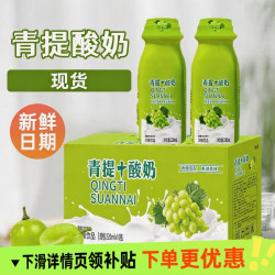 无品牌 青提酸奶 220ml*10瓶