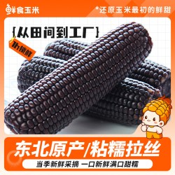 农垦雁窝岛 农垦东北黑糯甜玉米新鲜黄糯玉米粗粮真空装粘玉米棒代餐低脂10根