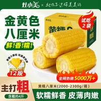 移动端：灶小美 玉米新鲜糯玉米内蒙古黏玉米棒真空包装非东北即食黄糯苞米