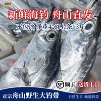 移动端：昌鲜园 舟山海钓带鱼 3-5两/条 3斤