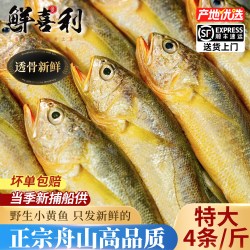 鲜喜利 真正舟山小黄鱼新鲜冷冻深海海鲜水产黄花鱼生鲜冰鲜海鱼商用烧烤
