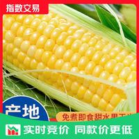 京东 云南新鲜甜玉米 5斤 带箱