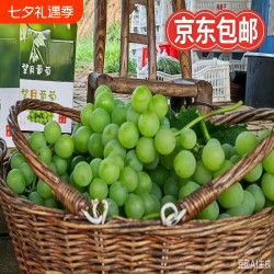 无品牌 湖北荆州 巨峰葡萄 2500g 22mm-25mm
