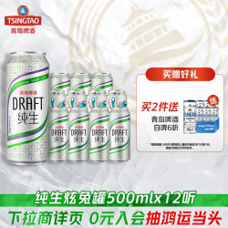 青岛啤酒 12罐整箱装 500mL