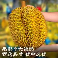 东鲜丰 泰国进口金枕榴莲 净重8-10斤 2-4个果