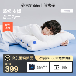 蓝盒子 枕中枕N3记忆棉枕头 10cm