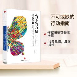 当下的力量（白金版）埃克哈特·托利经典之作 具有影响力的心灵经典 中信出版社图书