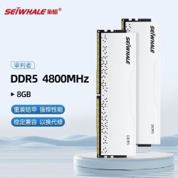 枭鲸 台式机电脑内存条审判者ddr5 8GB 4800MHZ