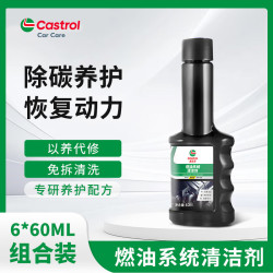 嘉实多 燃油宝除积碳清洗剂燃油系统清洗剂汽车节油宝油路清洗剂官方正品