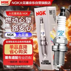 NGK 火花塞双铂金四支装迈腾速腾途安途观途岳